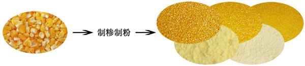 YMSJ系列玉米超精制糝機