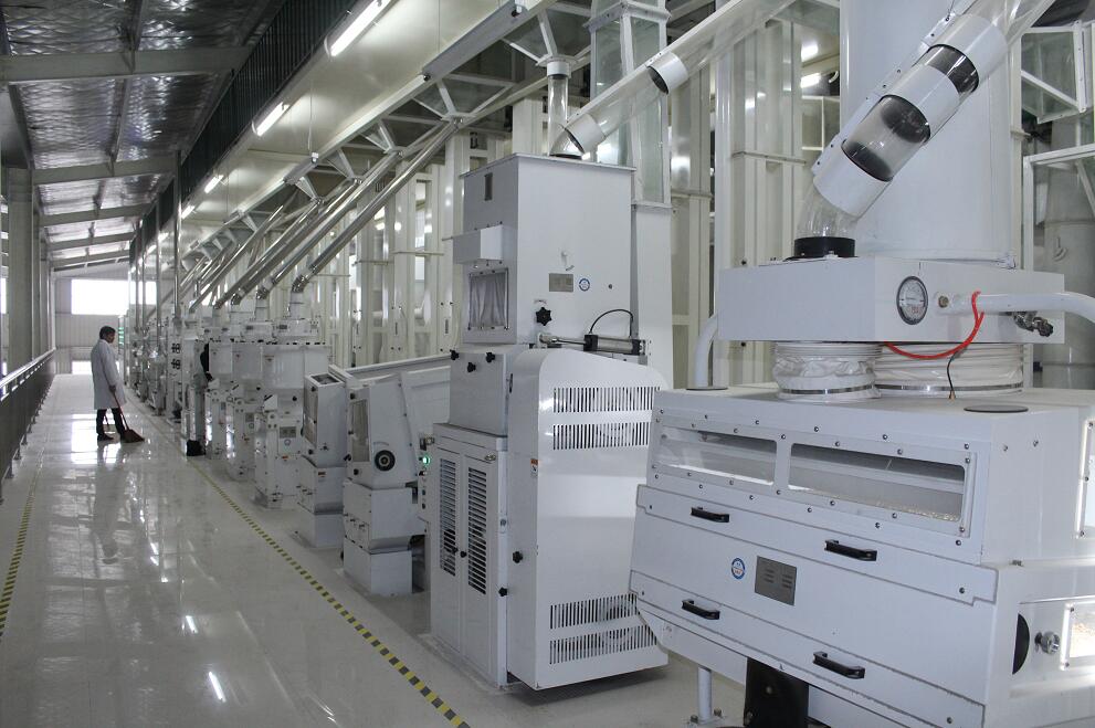 100噸大米成套加工設備