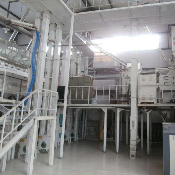 定制面粉加工設備